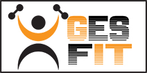 GesFitEvolution